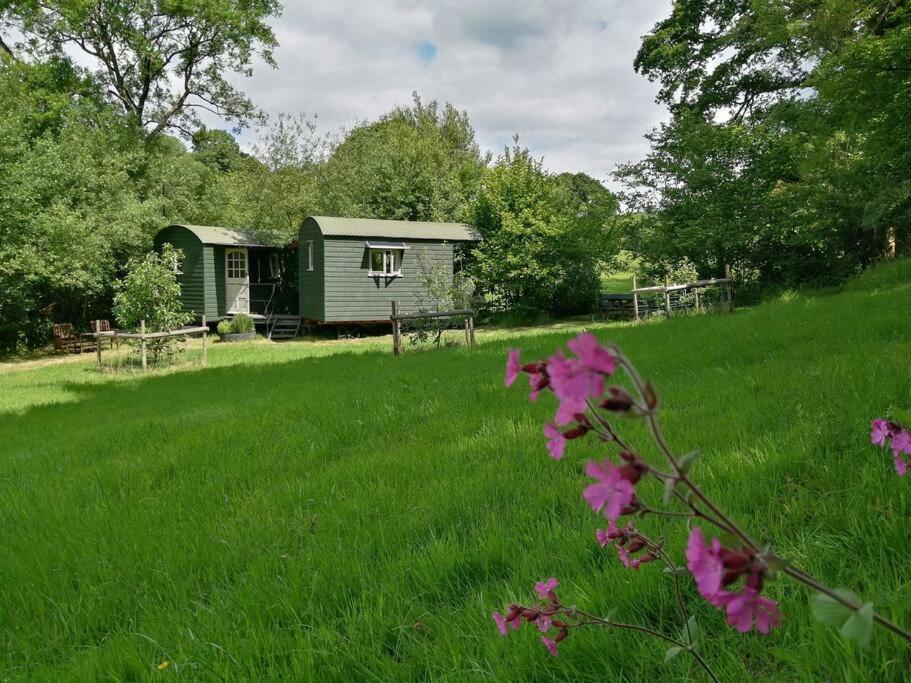 Penn Bergeyn Shepherd'S Huts Έξετερ Εξωτερικό φωτογραφία